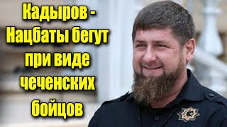 Кадыров -Нацбаты бегут при виде чеченских бойцов
