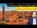 Dunia ki Sabse Bari Fense ||Dingo Fence wall in Australia