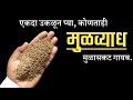 १दा उकळून प्या,कोणताही मुळव्याध मुळासकट गायब;dr swagat todkar upay। mulvyadh upay in marathi