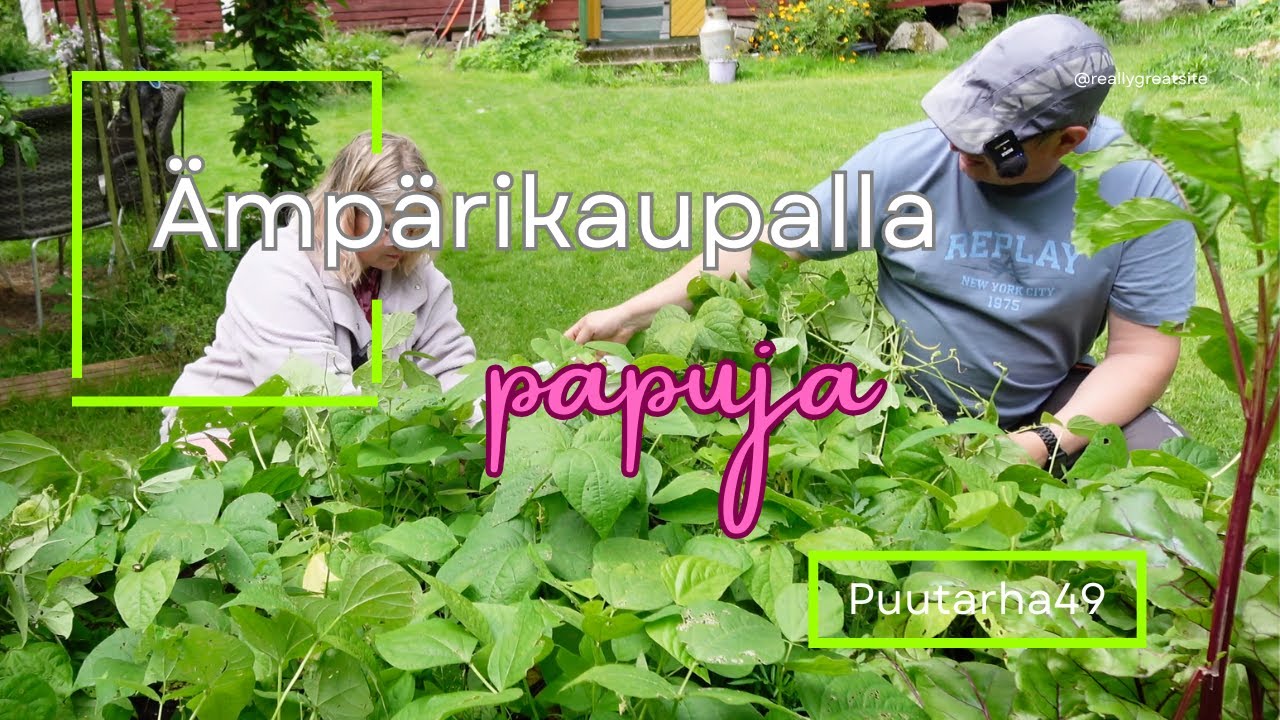 Ämpärikaupalla papuja ja kassikaupalla polttopuita