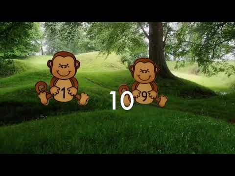 Tiokompisarna i skogen
