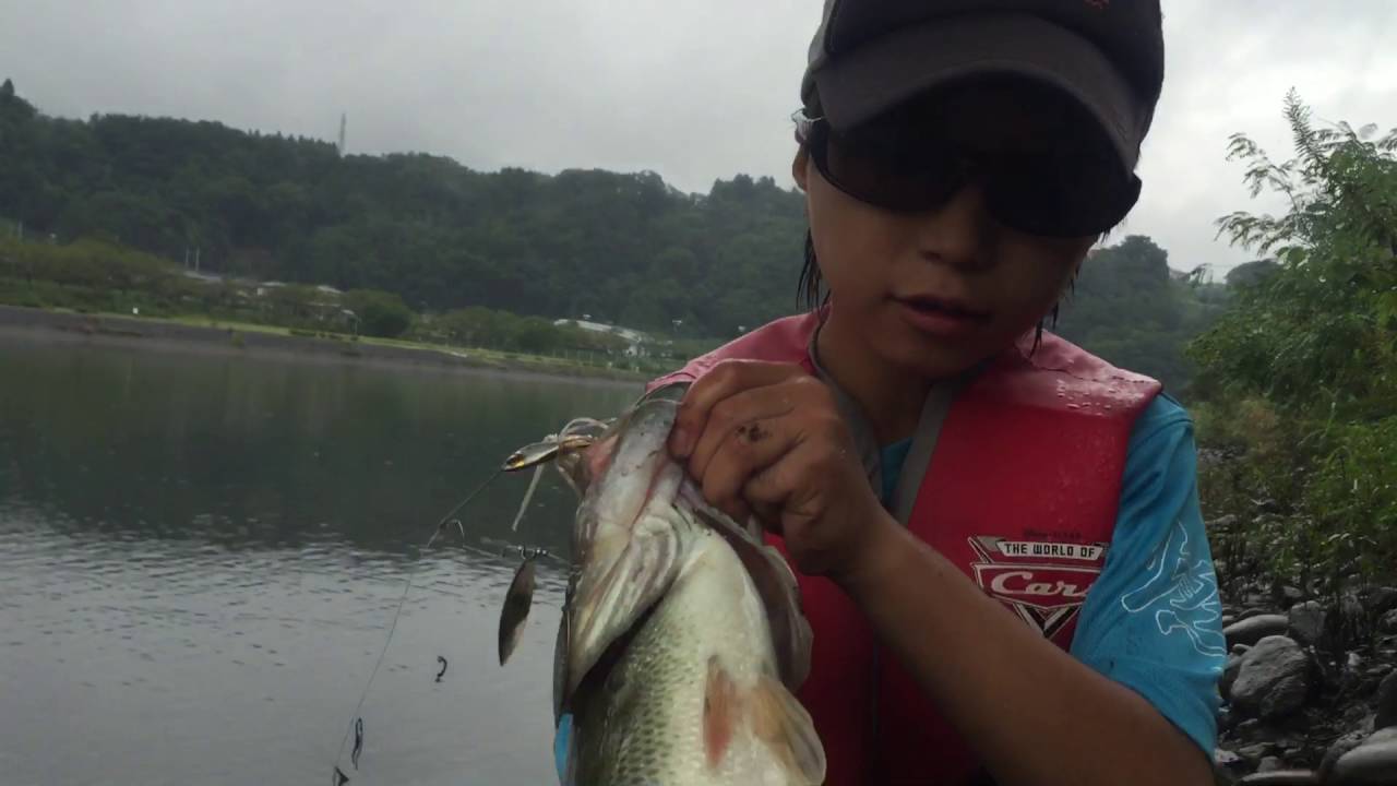 最高相模湖 オカッパリ すべての魚の画像