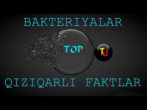 Bakteriya va Mikroplar haqida qizqarli ma&rsquo;lumotlar