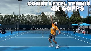 Denis Shapovalov Court Level Practice 2024 | Groundstrokes & Serves (4K 60FPS)