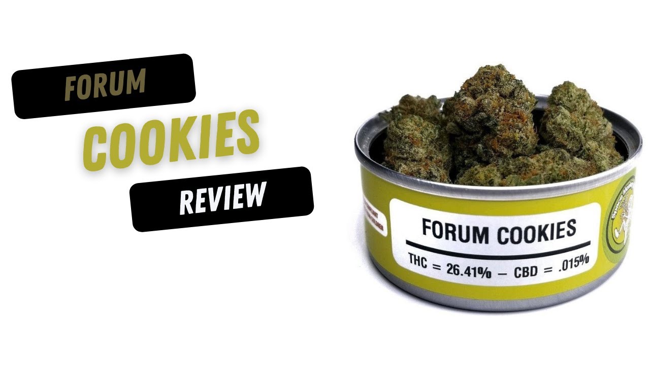 Forum Cookies Cannabis Review