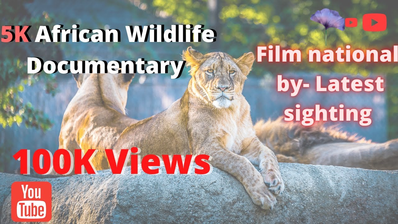 5K African Wildlife Documentary Film national by Latest sighting