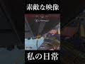 心安らぐ動画が完成しました　 #short