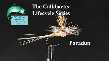 Callibaetis Lifecycle   Tying a Parachute
