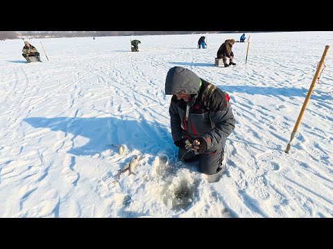 Зимова риболовля без прикрас. Як не зірватись і не втратити інтерес