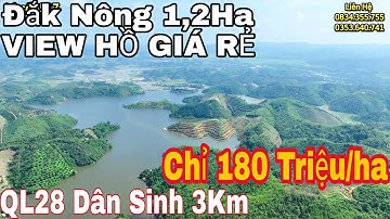 VIEW HỒ Đắk Nông 1,2ha chỉ 180 Triệu/ha QL28 Dân Sinh 3Km