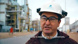 Profertil - a FlexLTP success story