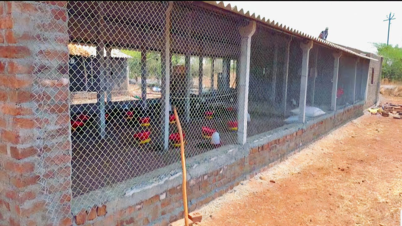 1000 sq.ft. Poultry Shed Construction l investment l Material l
