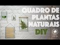 Diy  plantas na decorao  para pendurar na parede