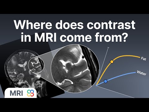 How Does Gadolinium Work In Mri