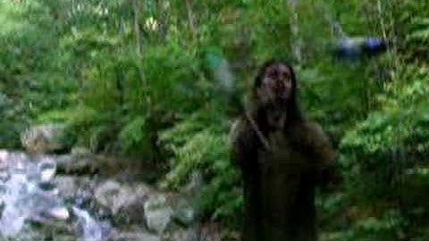 Chops in slow motion