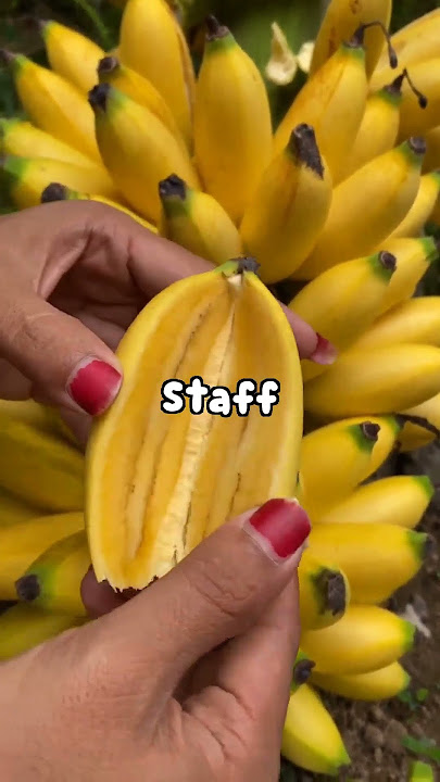 How did your deployment...