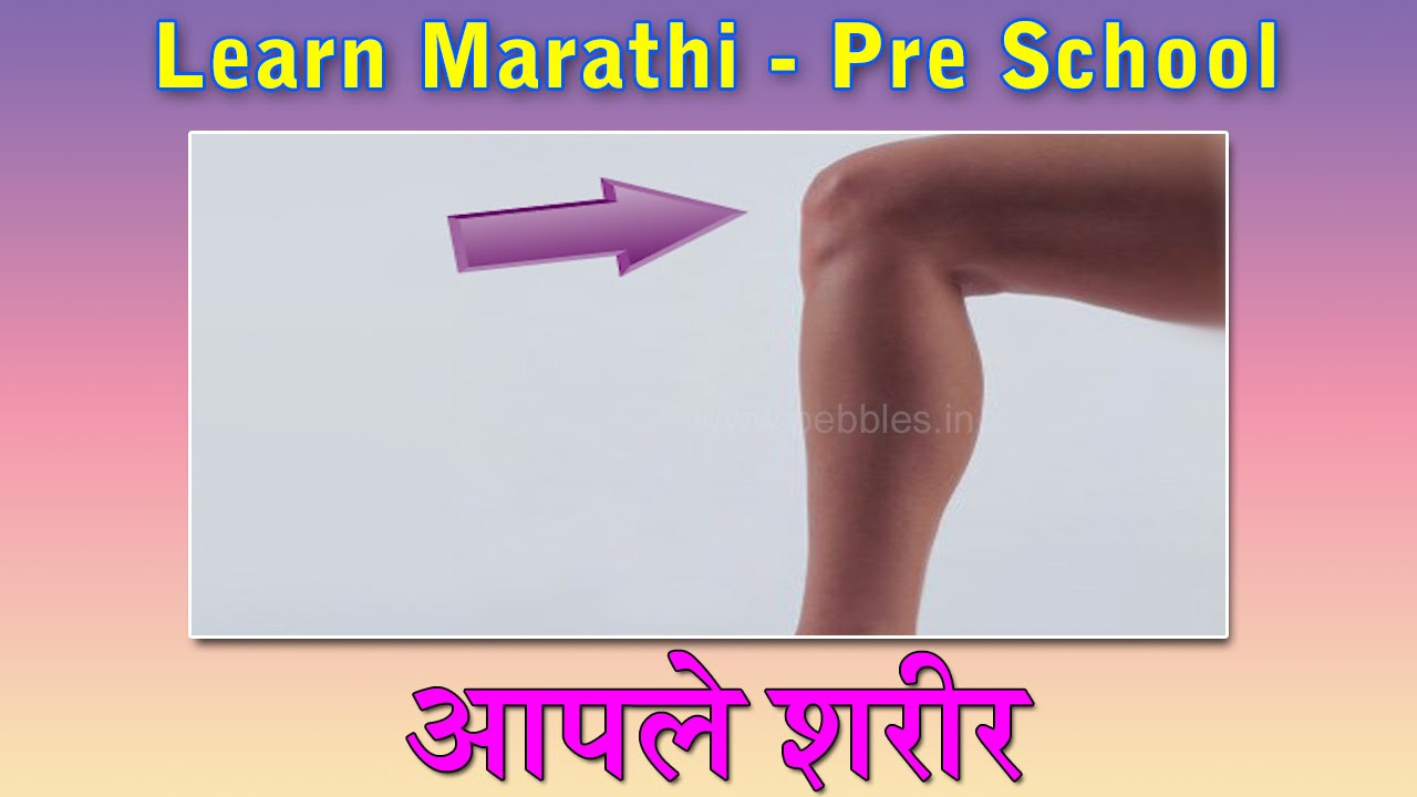 Body Parts In Marathi | Learn Marathi For Kids | Marathi Grammar