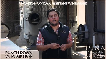 Piña Napa Valley Winery - Punch Down vs Pump Over