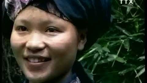 54 dân tộc anh em: Dân tộc Bố Y