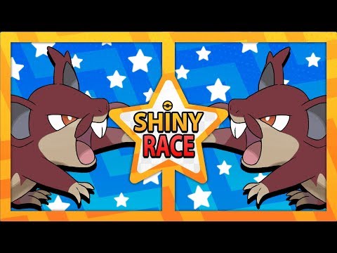 DUAL ALOLAN RATTATTA SHINY RACE | POKEMON SUN SHINY HUNTING - DUAL ALOLAN RATTATTA SHINY RACE | POKEMON SUN SHINY HUNTING