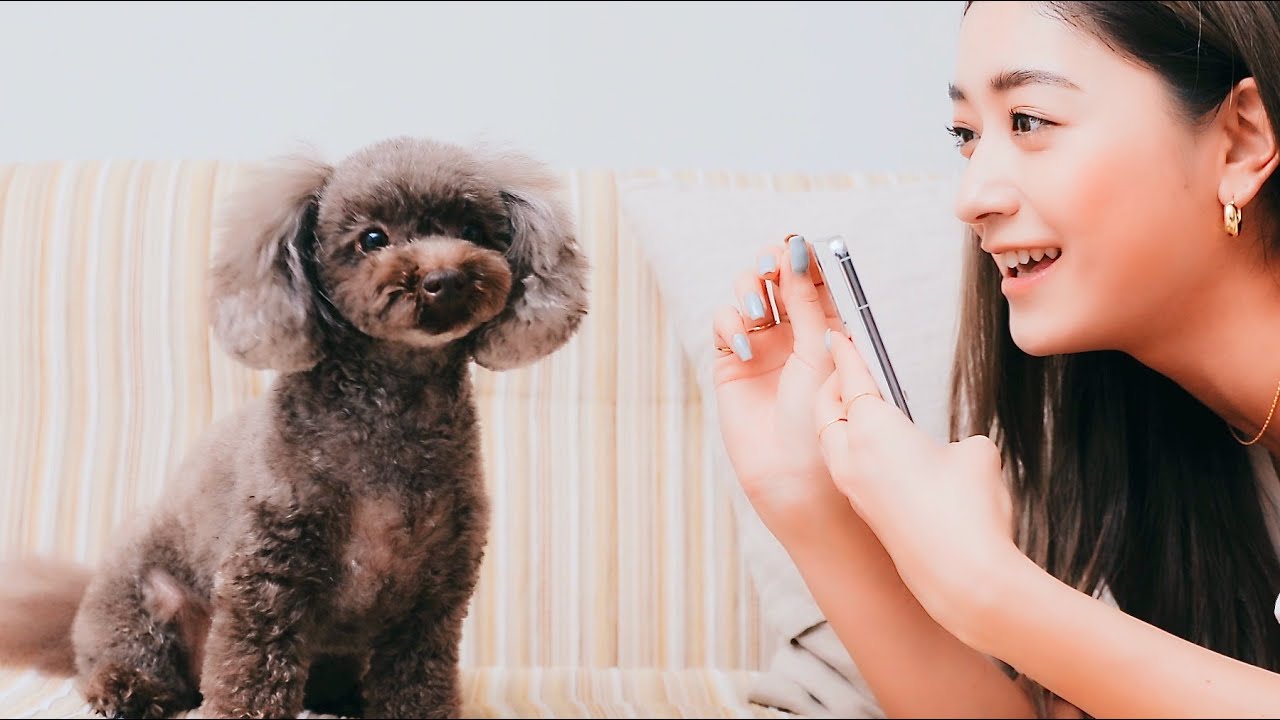 みちょぱ、愛犬ぐみちゃんとプライベート感が溢れる撮影会／Galaxy