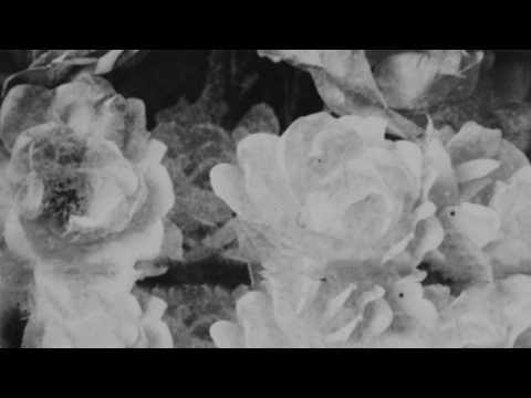 Rozes - R U MINE (StayLoose Remix)