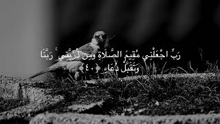 Surah Ibrahim (14:39-41) Recited by MuhammadSiddiq Al-Minshawi