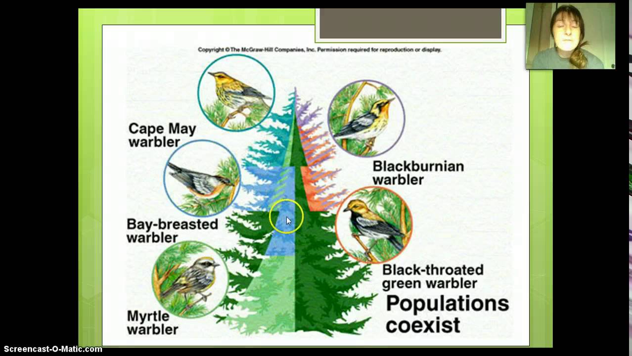 Ecology Video #4 - Niche Concept