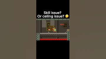 Definitely NOT a Skill issue #supermario