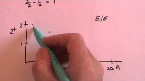 The Collective Model