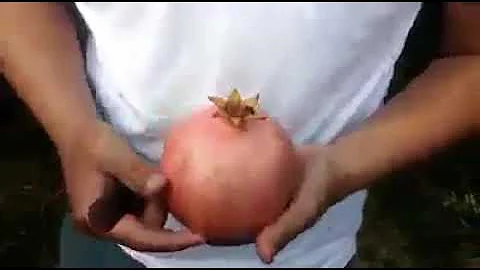 Nar soyma teknii.