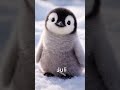 Wie cute💗