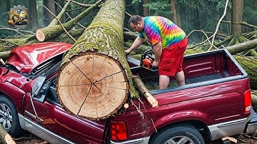 Idiots With Chainsaws: Tree Cutting Fails | Extreme Dangerous Logging Truck Fails #13