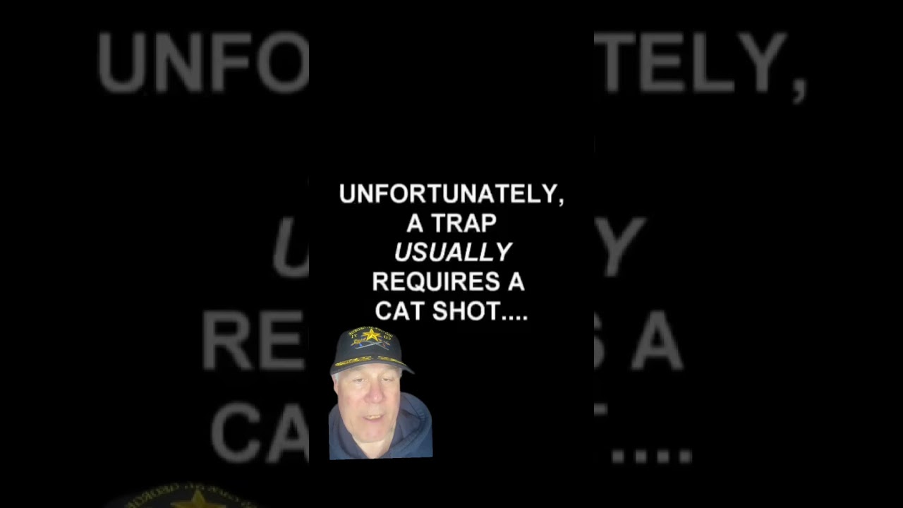 Navy F-18E Super Hornet Squadron VFA-143 Pukin' Dogs "The Fish" Mascot