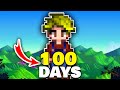 Stardew Valley, 100 Days on the Farm