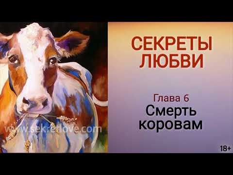 Книга "Секреты любви" - 6 глава. Как повысить самооценку и привлечь любовь в свою жизнь? Кундалини