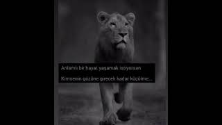 İnci Mercan-Beddua