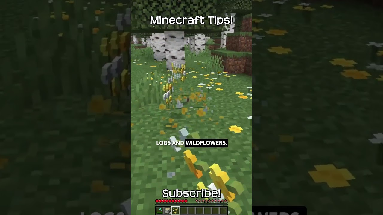 What Is The Command To Find A Birch Forest In Minecraft?!