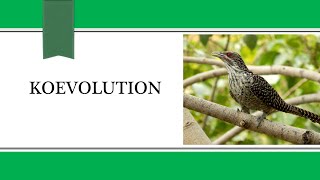 Koevolution/Coevolution