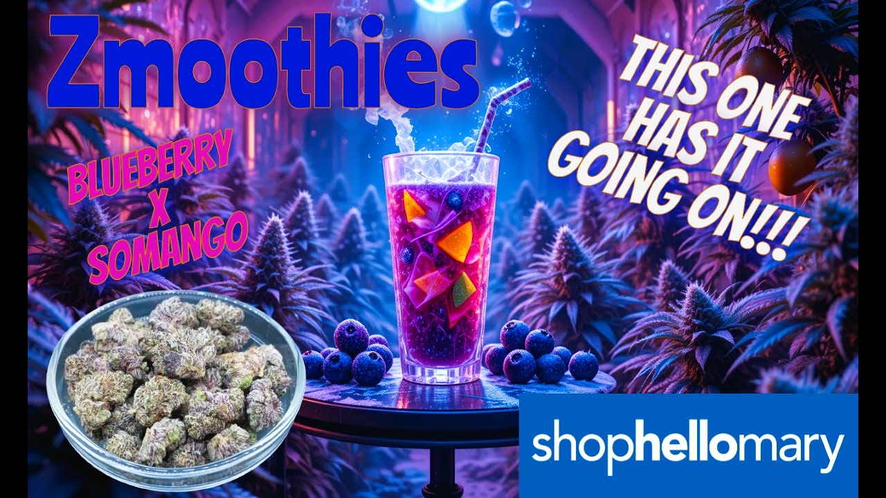 Trying ShopHelloMary Zmoothies THCa Flower - Cool Smooth Flavor!