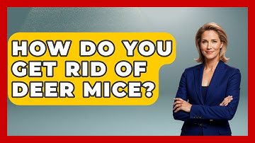 How Do You Get Rid Of Deer Mice? - Insects and Invaders