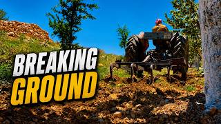 The Old Tractor Returns — Getting the Orchard Ready
