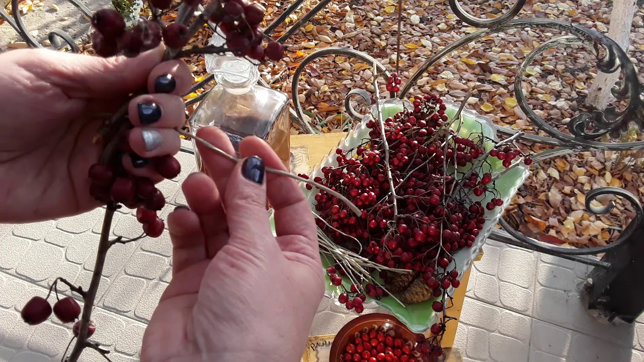 боярышник шиповник давление. сок боярышника.