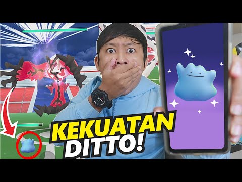 Video: Dalam pokemon go apa itu ditto?