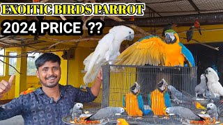 Birds Parrots PRICE !! 2024 Upcoming PRICE of Exoitic Parrots .