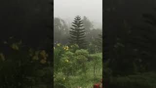 Khaoyai nature retreat