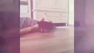 🔴Проверка собаки 🐶/ Теряю сознание при Ириске 💗 🔴Проверка собаки 🐶/ Теряю сознание при Ириске 💗