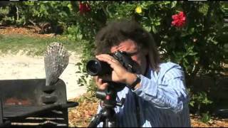 Photographing Forms and Textures with Bryan Peterson