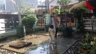 Lila & Foni - Main Hujan-Hujanan, Disemprot Air sama Ibu