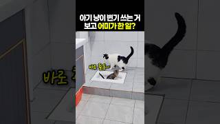 진짜 천재인가?" 스스로 일 보는 아기 고양이를 발견한 어미의 소름 돋는 대처법